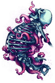 The Host