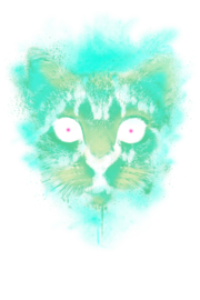 #Cosmic #Cat