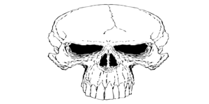 skull cap