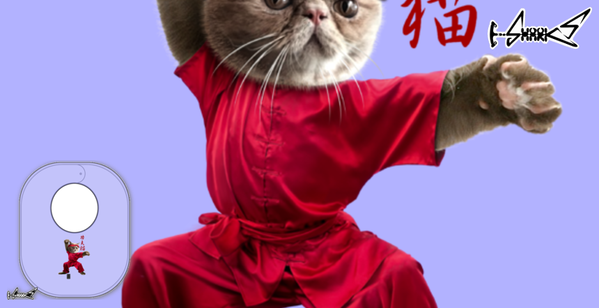 KUNG-FU CAT Kids Products - Designed by: ADAM LAWLESS