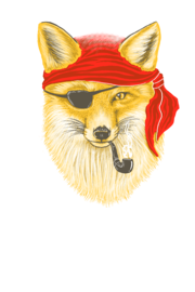#Foxy #Pirate