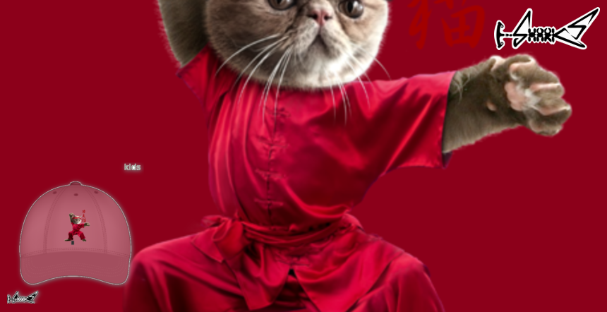 KUNG-FU CAT Kids Products - Designed by: ADAM LAWLESS
