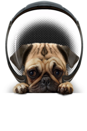 ASTRODOG