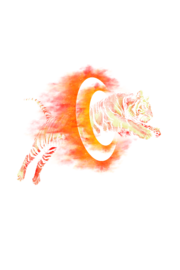 Leap of Death