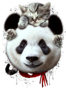 CAT ON PANDA