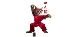 KUNG-FU CAT