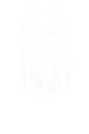 #space #punisher