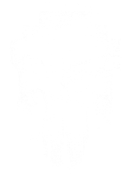 #space #punisher