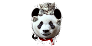 CAT ON PANDA