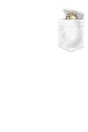 Cat in my Pocket