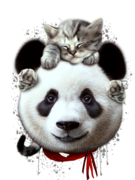 CAT ON PANDA