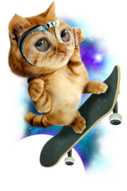 SKATEBOARD CAT