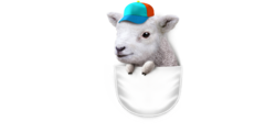 POCKET LAMB WITH HAT