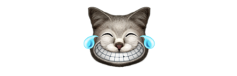 EMOTIONS CAT LAUGHING