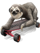 SLOTH ON SKATEBOARD