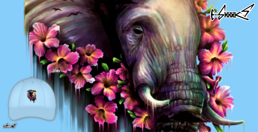 The Wild Bloom Kids Products - Designed by: Lou Patrick Mackay