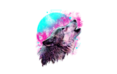 The Rebirth