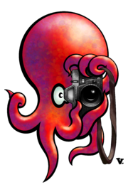 Cephalographer