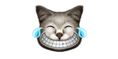 EMOTIONS CAT LAUGHING