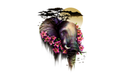 The Wild Bloom