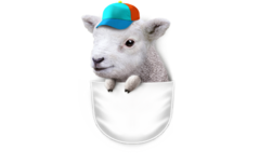 POCKET LAMB WITH HAT