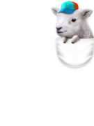POCKET LAMB WITH HAT