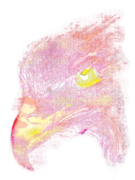 Fireball