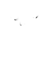 My Soul is Tattooed