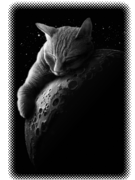 MOONCAT