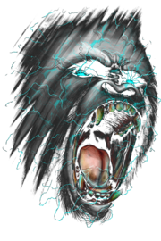 Shockwave