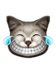 EMOTIONS CAT LAUGHING