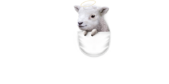 POCKET LAMB