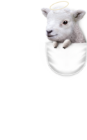 POCKET LAMB