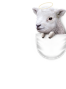 POCKET LAMB