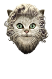 BEARDED CAT