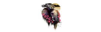 The Wild Bloom
