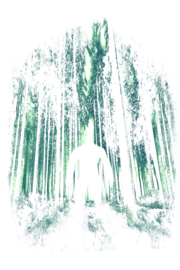 Untold Mystery