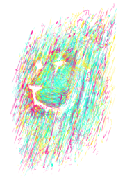 Unfinished Lion