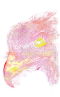 Fireball
