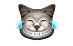 EMOTIONS CAT LAUGHING