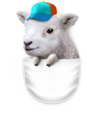 POCKET LAMB WITH HAT