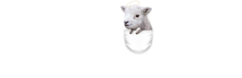 POCKET LAMB