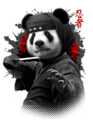 NINJA PANDA