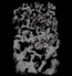 t-shirt Zombies