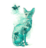 t-shirt Cats