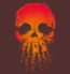t-shirt Skulls