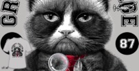 t-shirt Cats