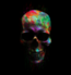 t-shirt Skulls