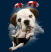 magliette t-sharks.com - BULLDOG PARACHUTING