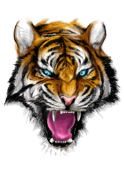 Ferocious Tiger
